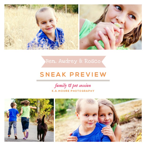 Copyright K.A.Moore Photography