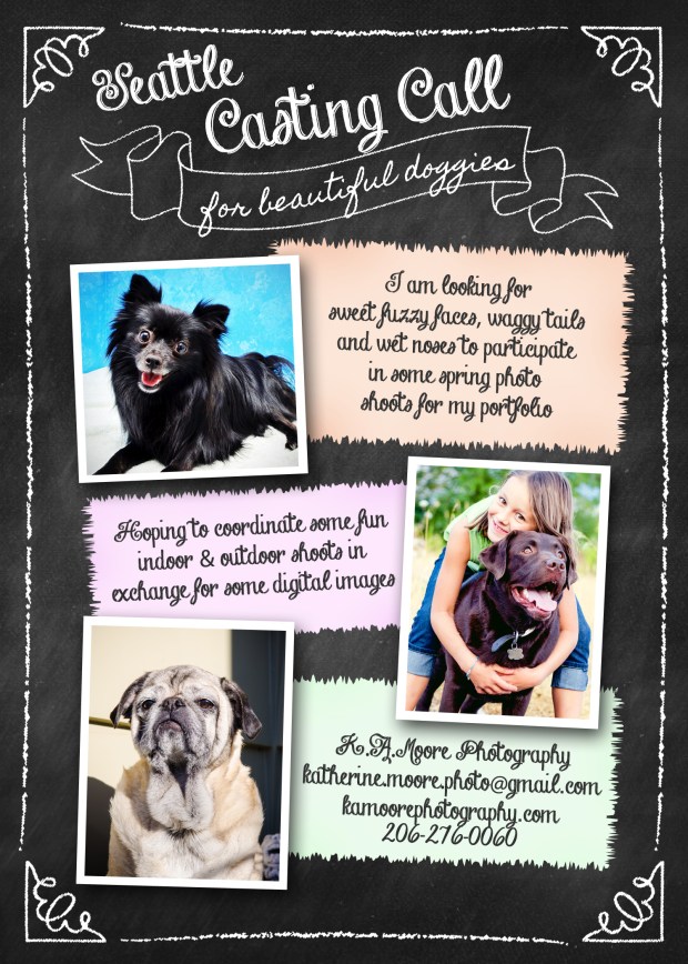 Images Copyright K.A.Moore Photography. pet photography, Seattle dog casting call