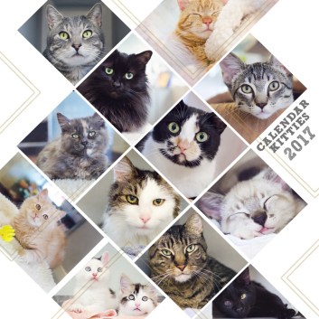 calendar-square-collage