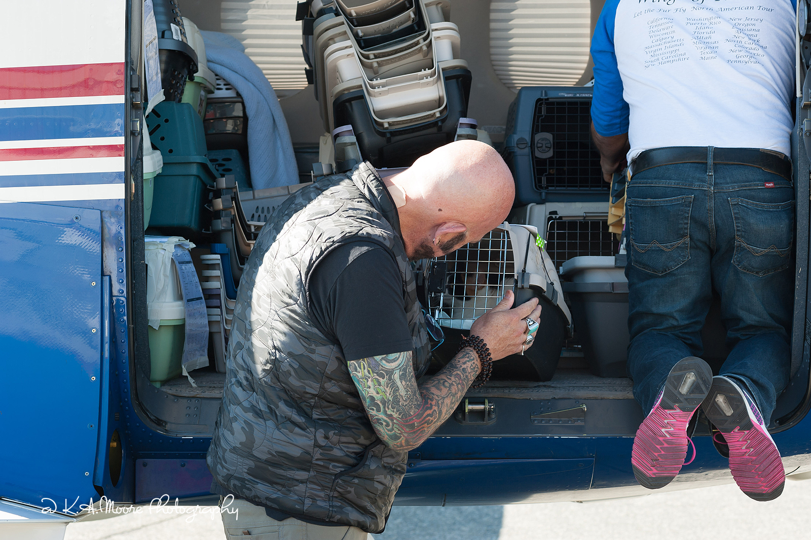 Copyright K.A.Moore Photography